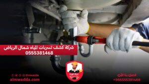 شركة كشف تسربات المياه شمال الرياض 0555381468