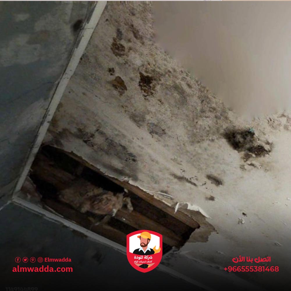 أهمية كشف تسربات المياه